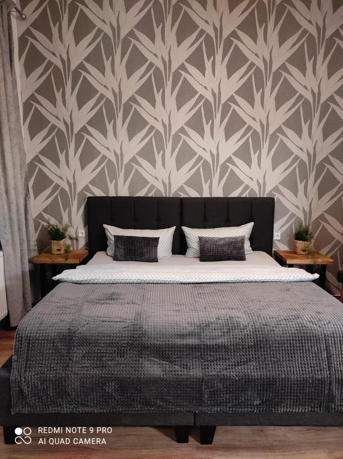 Pension Haus Zedtwitz Bad Elster Zewnętrze zdjęcie