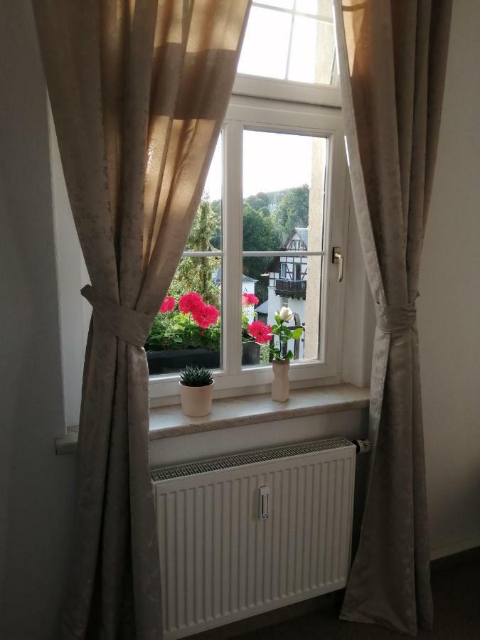Pension Haus Zedtwitz Bad Elster Zewnętrze zdjęcie